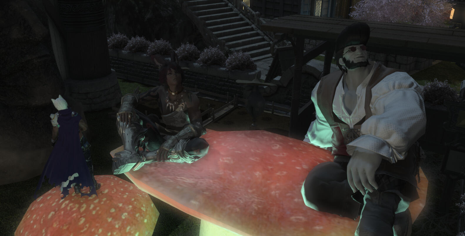 taken by tony caputo ft. ringo