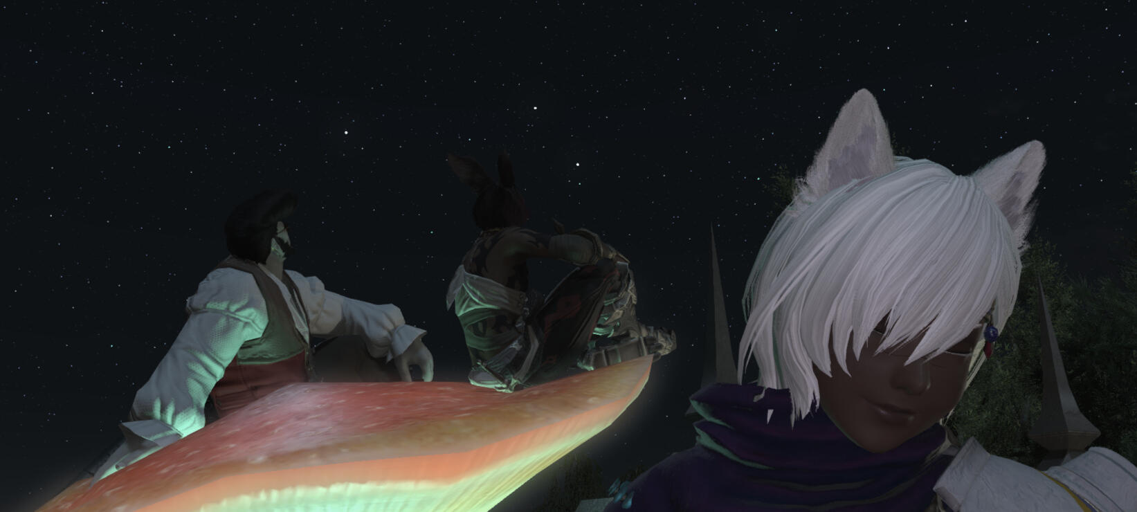 taken by tony caputo ft. ringo