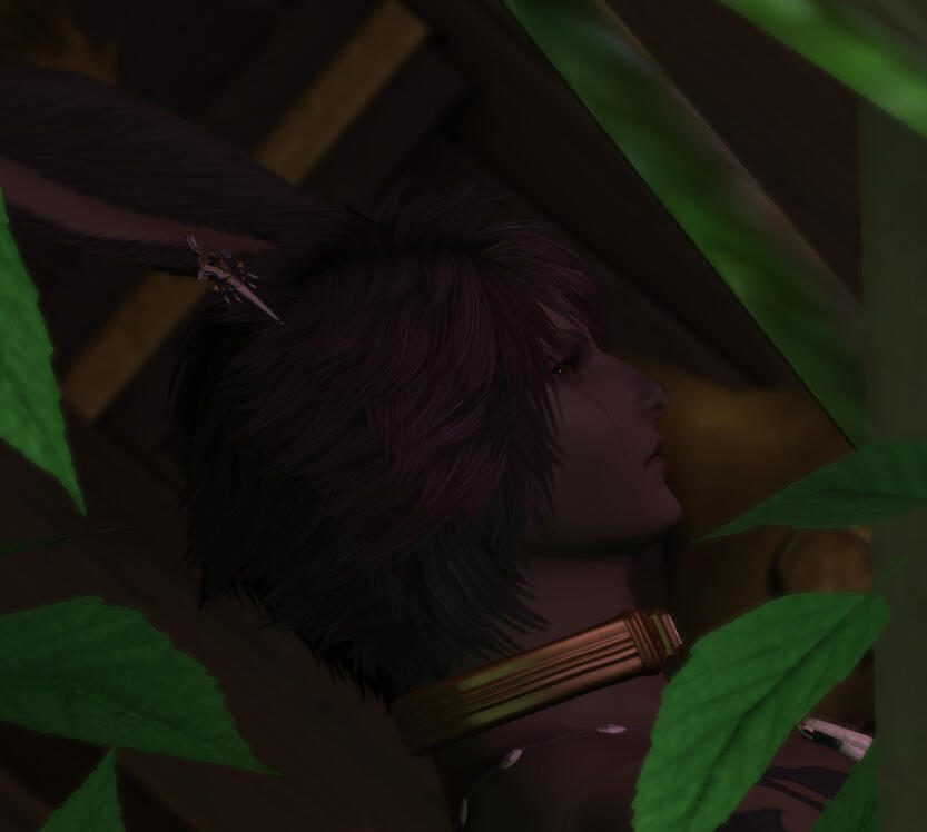 taken by me in fumo house !